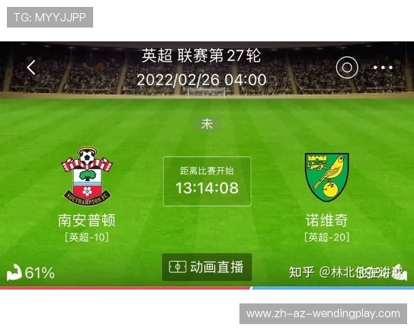 英超诺维奇球员名单及球队战术配合分析